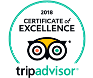 Tripadvisior certificate of excellence 2018 experience logo experience logo